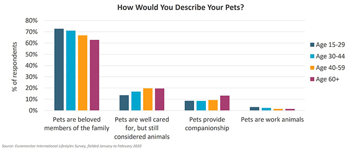 Generational pet care trends