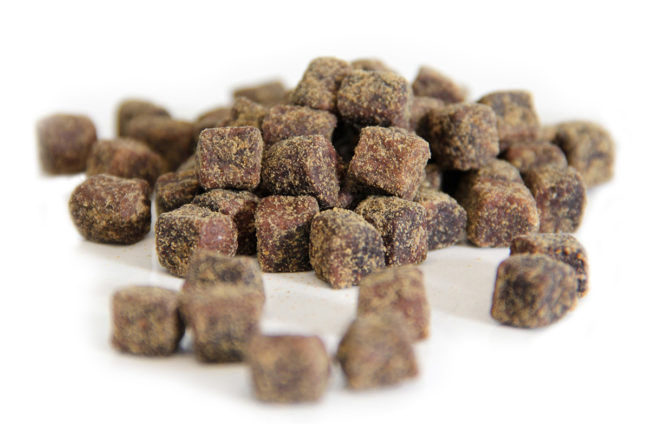 Minimally processed kibble to be produced on PROCESS EXPO 2019 show floor