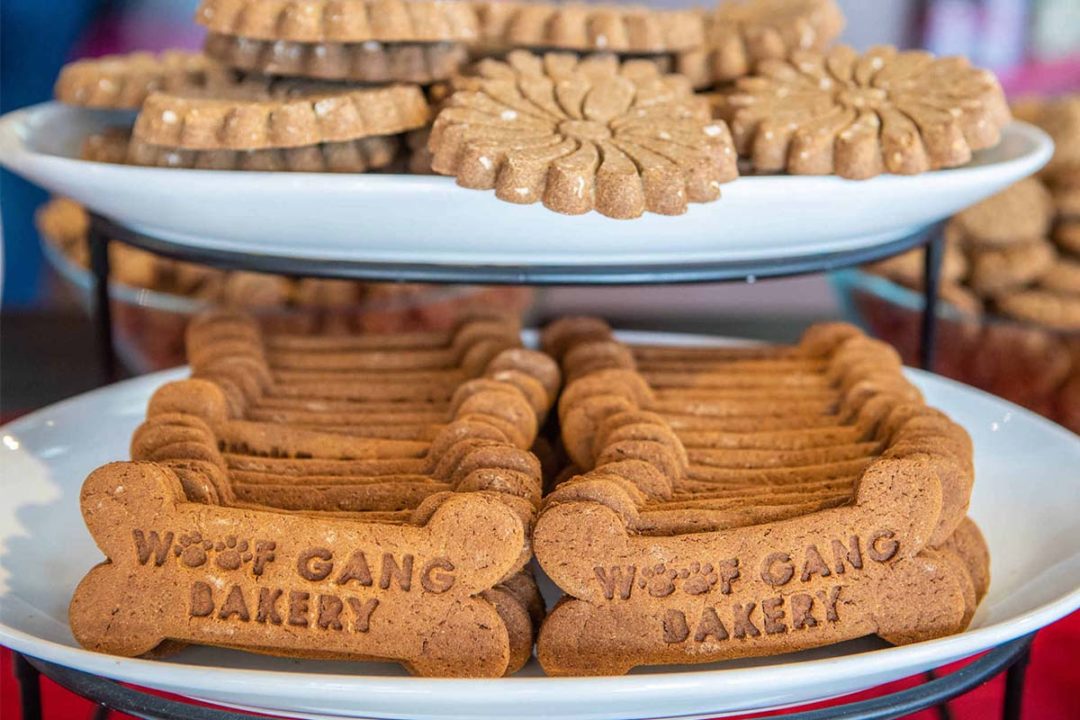 Woof Gang Bakery & Grooming recieved an investment from Garnett Station Partners LLC