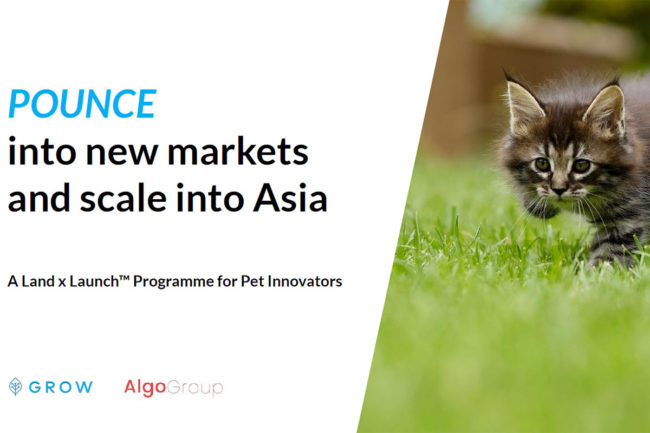 GROW and AlgoGroup partner to create new accelerator program, POUNCE
