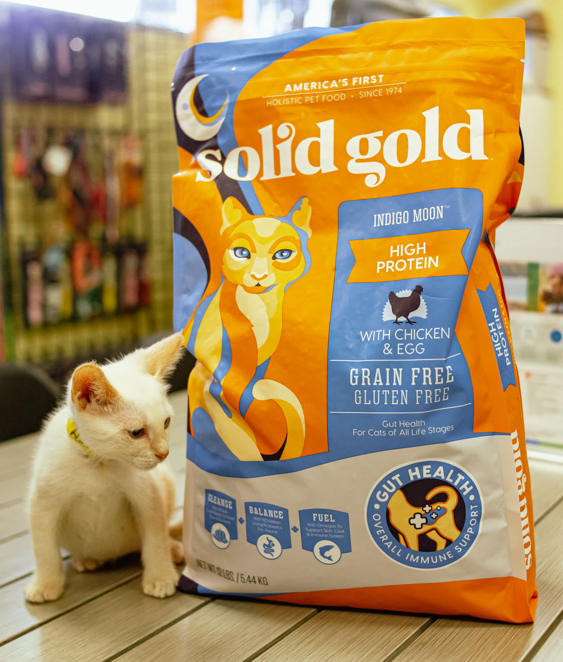 Solid Gold Pet's Indigo Moon cat food