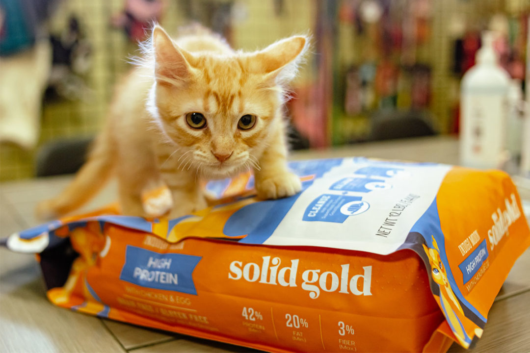 Solid Gold Pet partners with the Pet Alliance of Greater Orlando