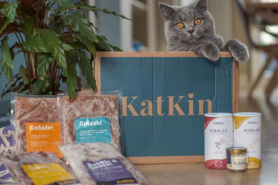 Cat nutrition startup secures $28 million in investments