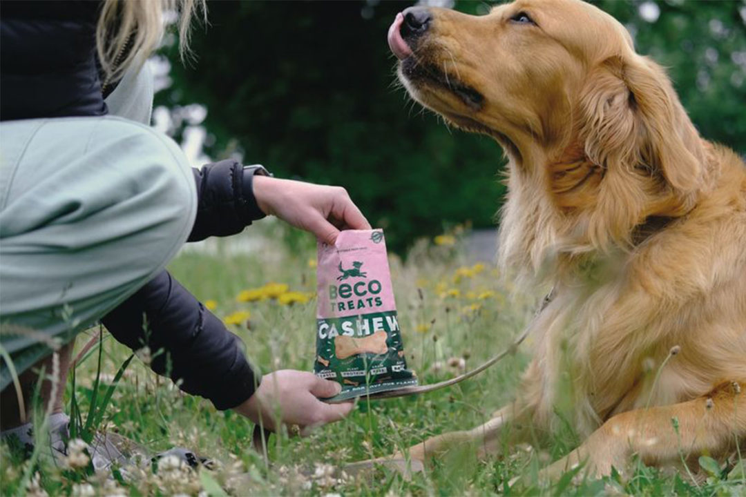 Pet company Beco has achieved B Corp status for its sustainability efforts, which includes environmentally friendly pet foods and treats