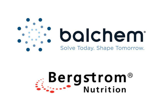 Balchem acquires Bergstrom Nutrition, a manufacturer of MSM