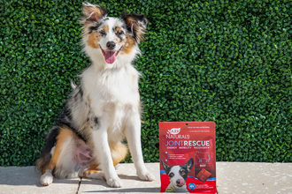 Antelope has acquired Ark Naturals, a pet health and wellness brand that offers pet treats and chews