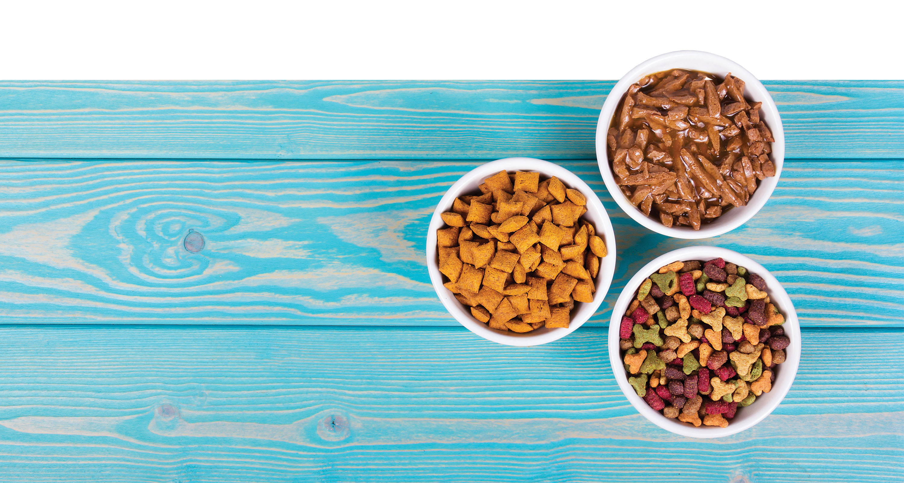 Various pet food formats are witnessing rising consumer interest