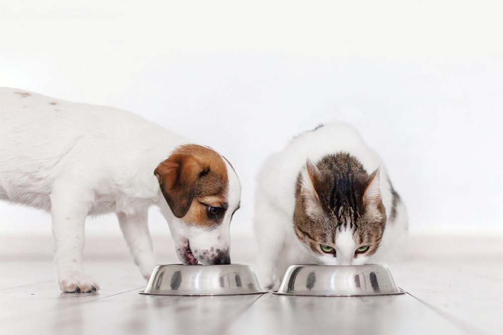 Processors are ramping up to offer consumers targeted pet nutrition products