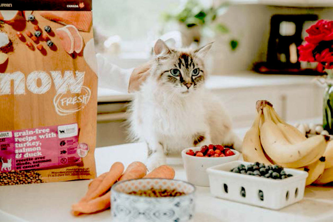 In its newest Sustainability Impact Report, pet food company Petcurean detailed various sustainability achievements, including carbon neutrality