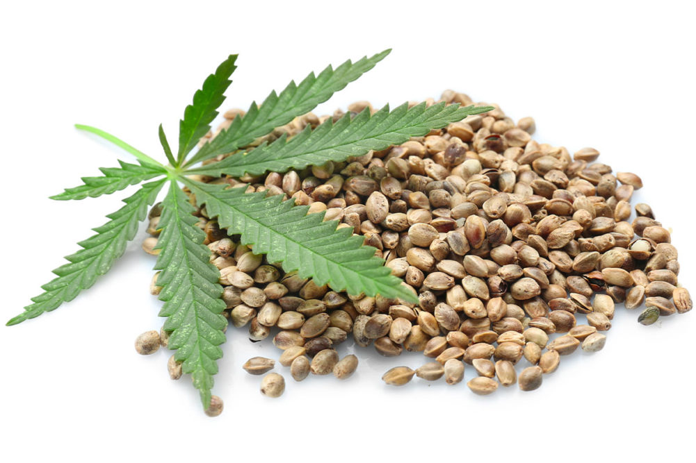 Idaho bans hemp-derived ingredients in animal feed, pet food, treats and supplements