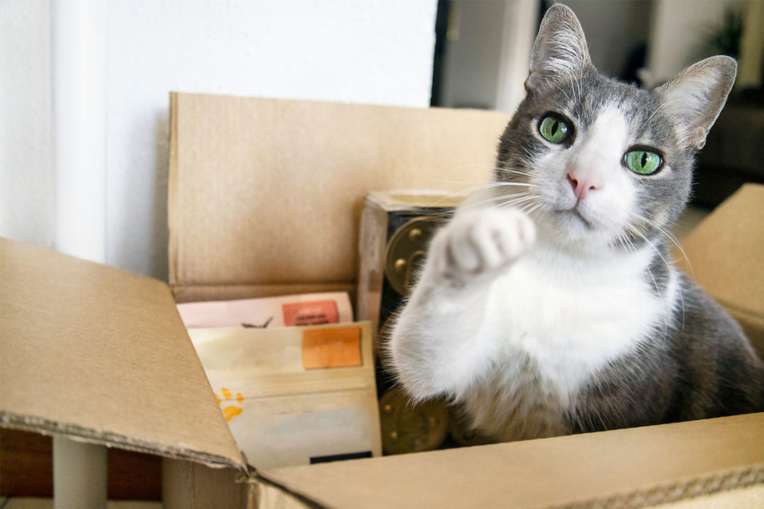 Pet Valu launches new AutoShip service to consumers