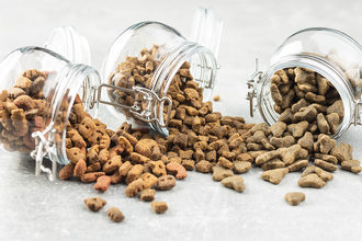 ADM details the latest consumer trends likely to shape the food and pet nutrition industries