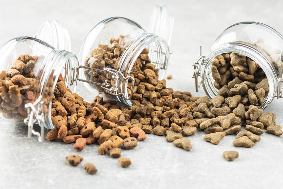 ADM highlights consumer trends set to drive growth in pet nutrition