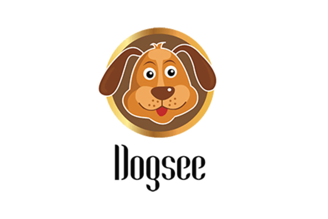 Dogsee Chew receives more than $5.6 million investments