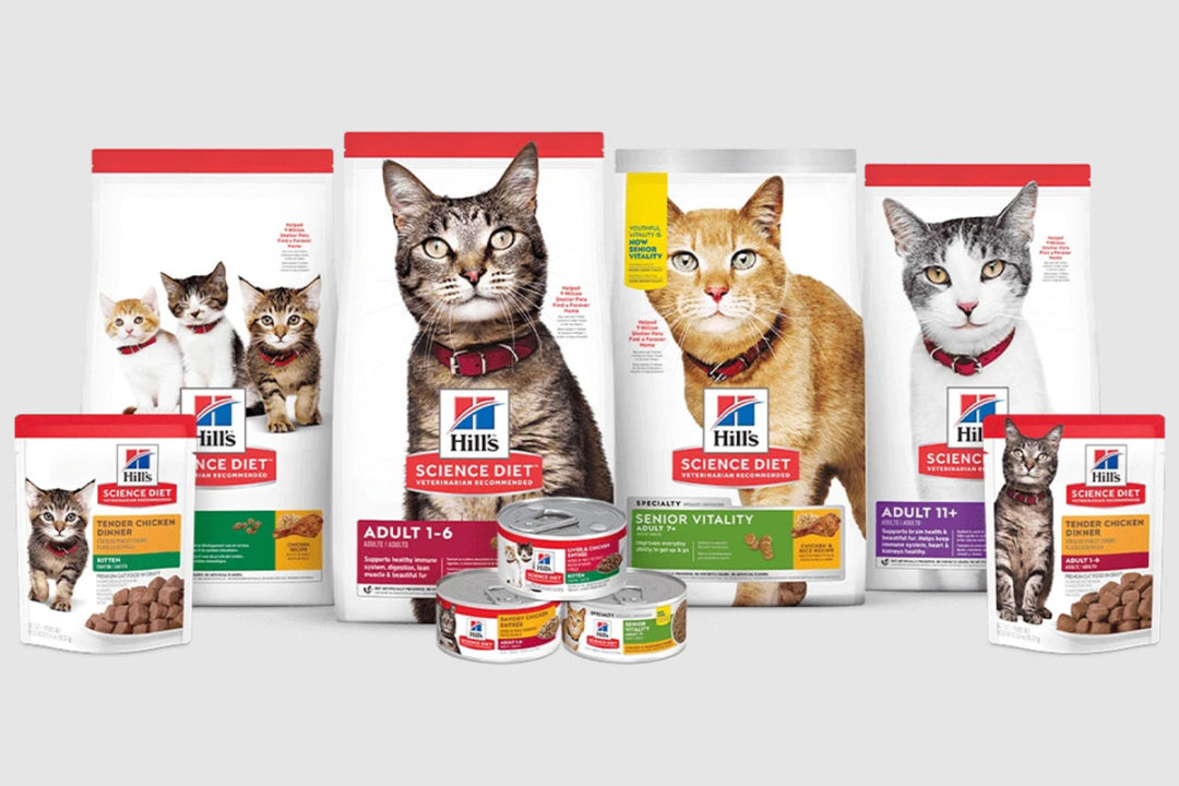 Hill's Pet Nutrition posts growth in fourth quarter and full-year 2021