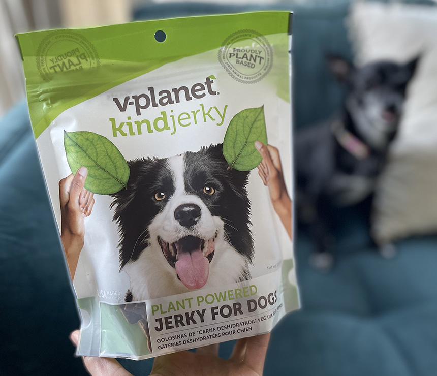 V-dog kindjerky vegan jerky treats for dogs