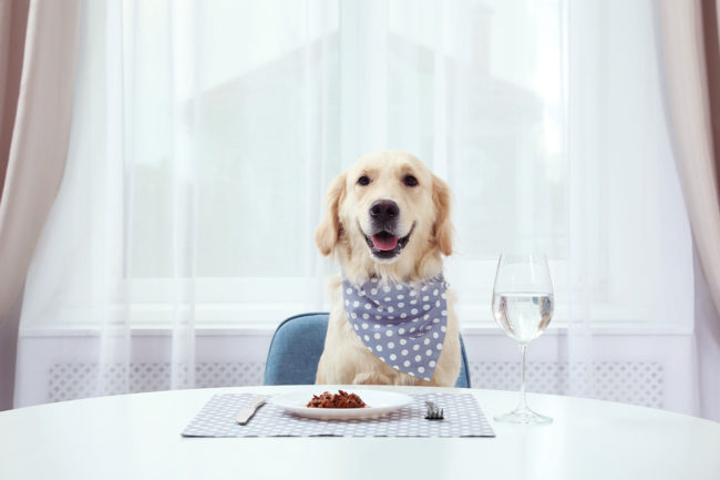Humanization of pet food and treats as told by emerging product formulations and formats