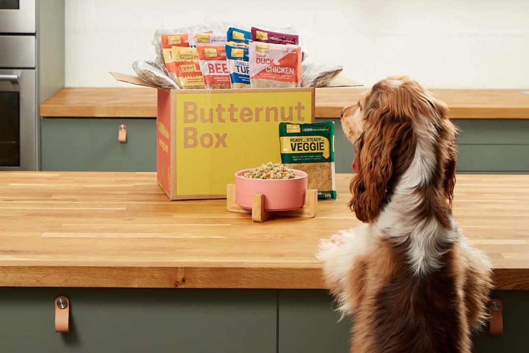 Butternut Box's first veggie dog meal