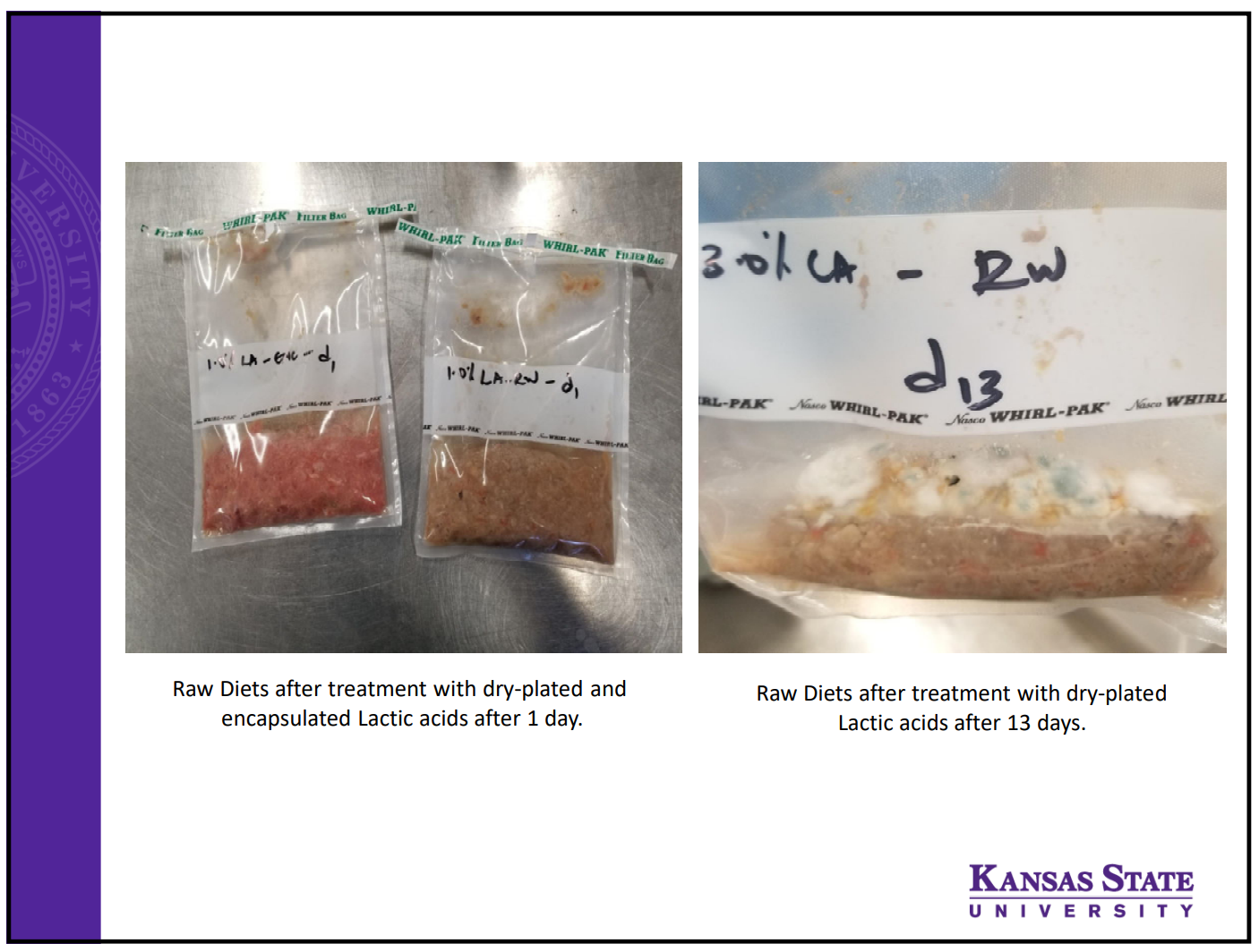 Discoloration of raw dog food with encapsulated lactic acid versus raw lactic acid additives