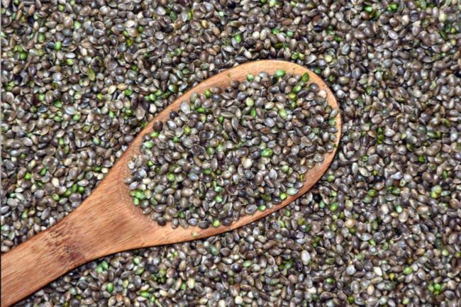 Hemp Feed Coalition releases statement in response to AAFCO's hemp letter
