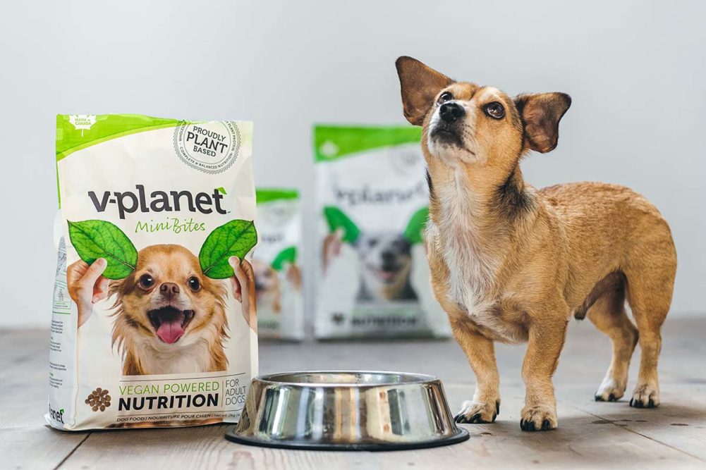 V-planet expands its vegan dog food into five new countries