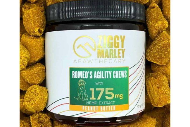 One Farm partners with Ziggy Marley to launch Romeo's Agility Chews