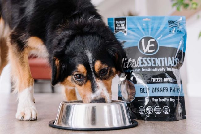 Carnivore's Vital Essentials brand named "Official Pet Food" of the MSJ Sports Show