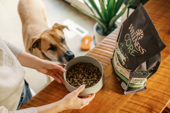 Wellness Pet Company's new dry dog food and meal topper