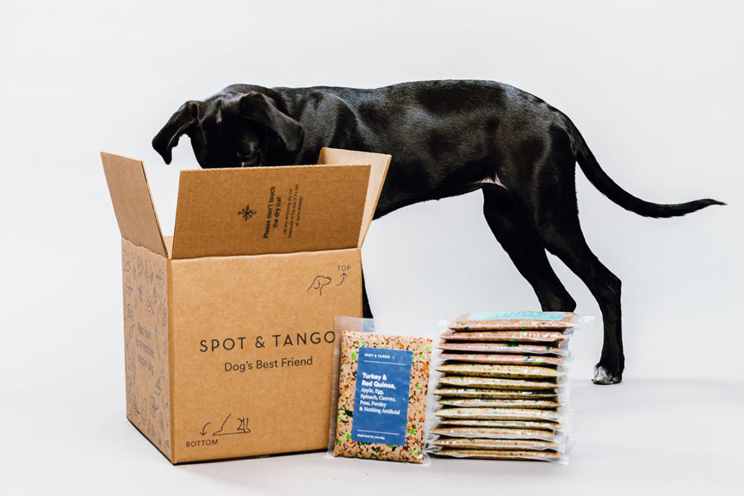 Spot & Tango receive funding to scale direct-to-consumer dog food business
