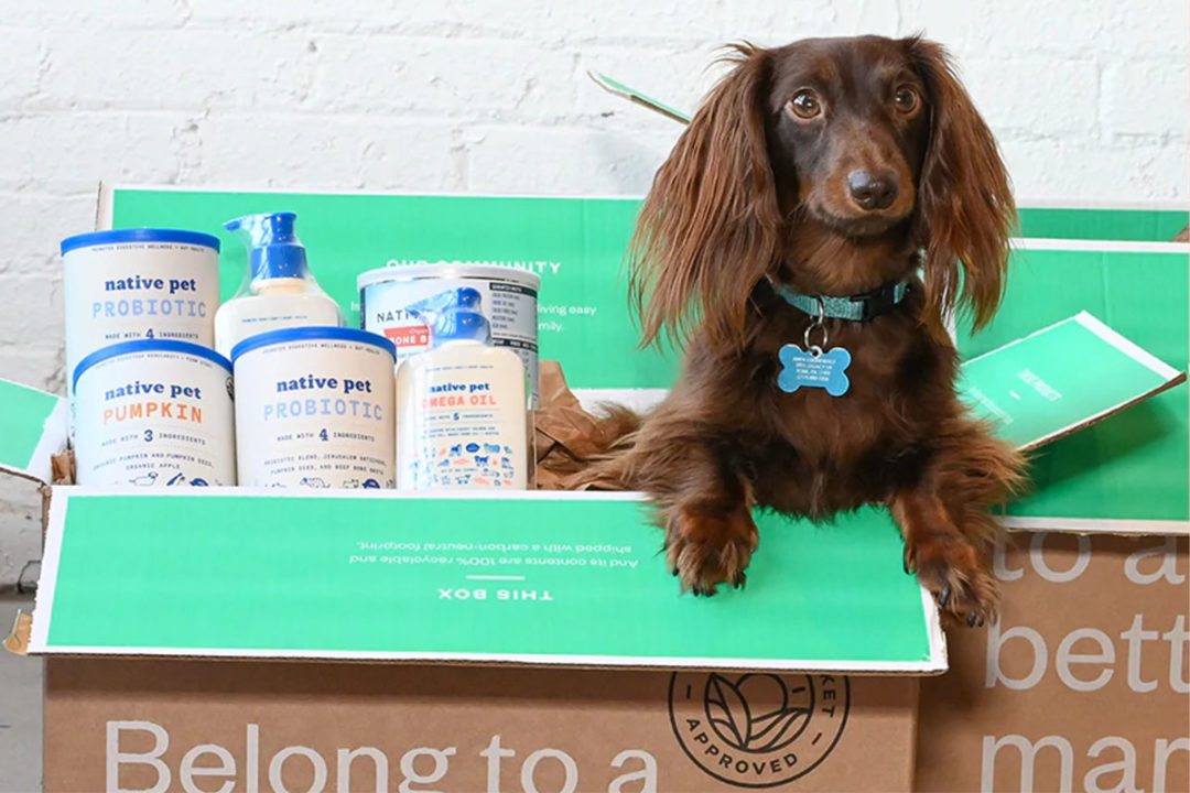 Native Pet receives funding to expand dog supplement product offerings