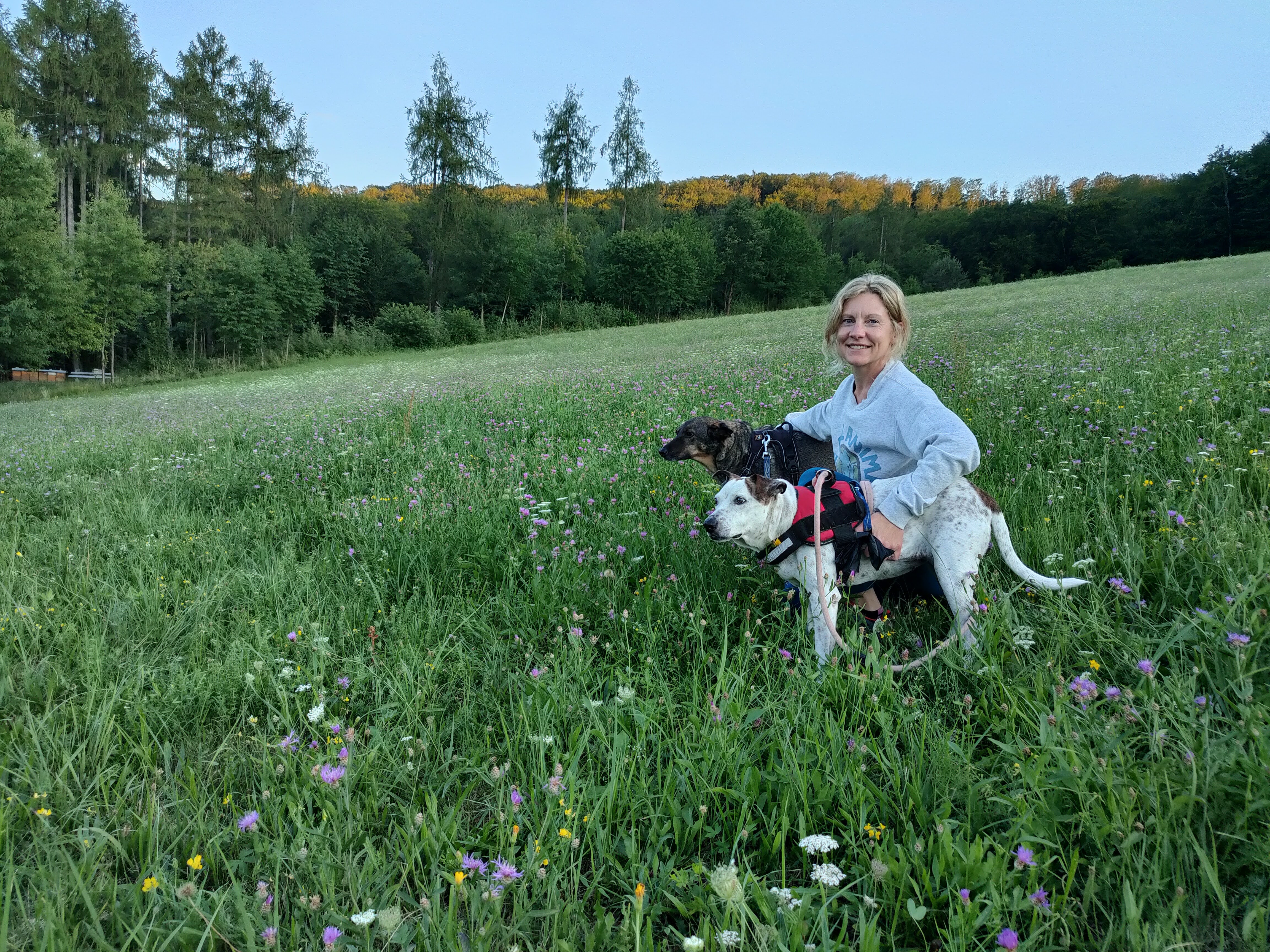 Shannon Falconer, Ph.D., chief executive officer and co-founder of Because, Animals, with her dogs Gaia (front) and Nori (back).