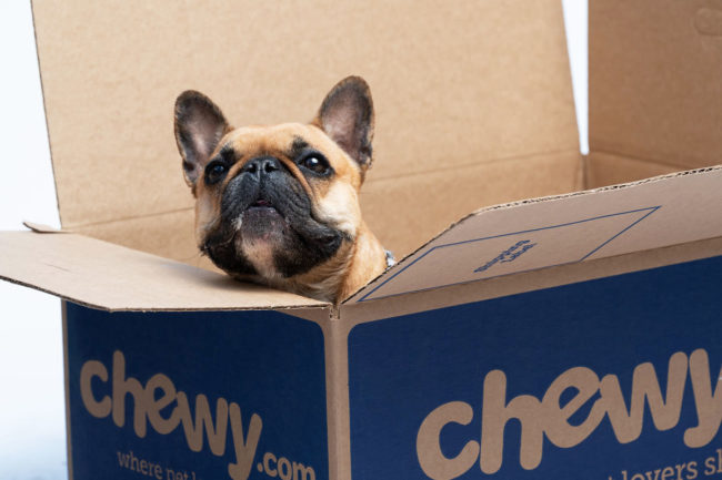 Chewy shares fourth quarter and fiscal 2021 earnings