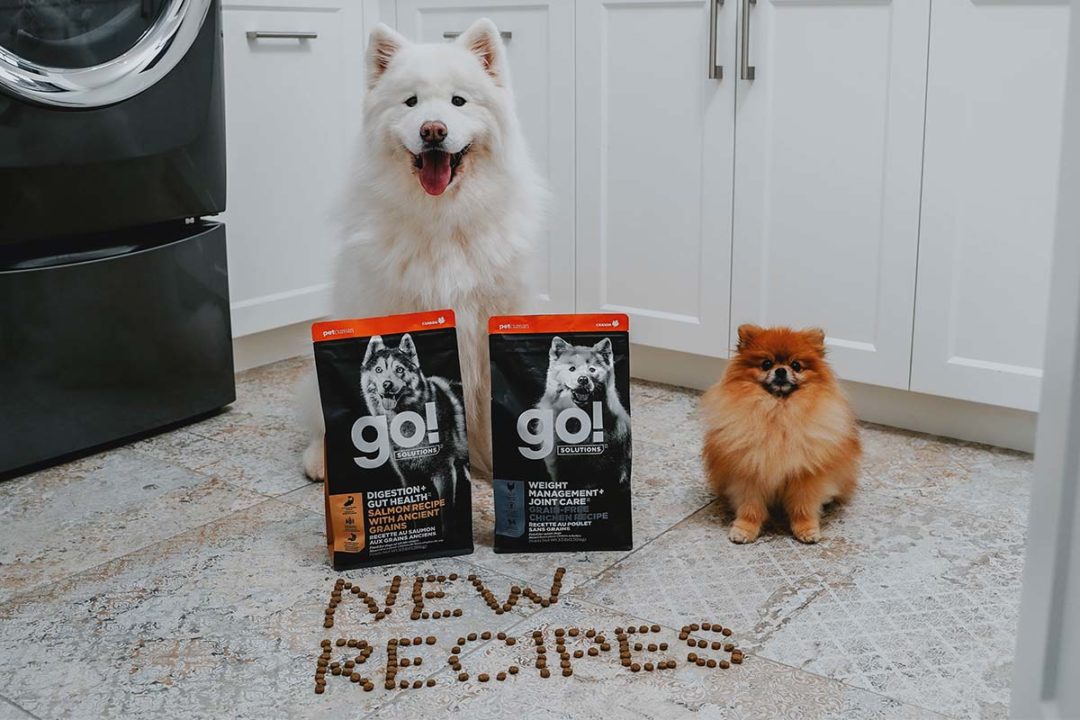 Petcurean expands its GO! SOLUTIONS dog and cat food line