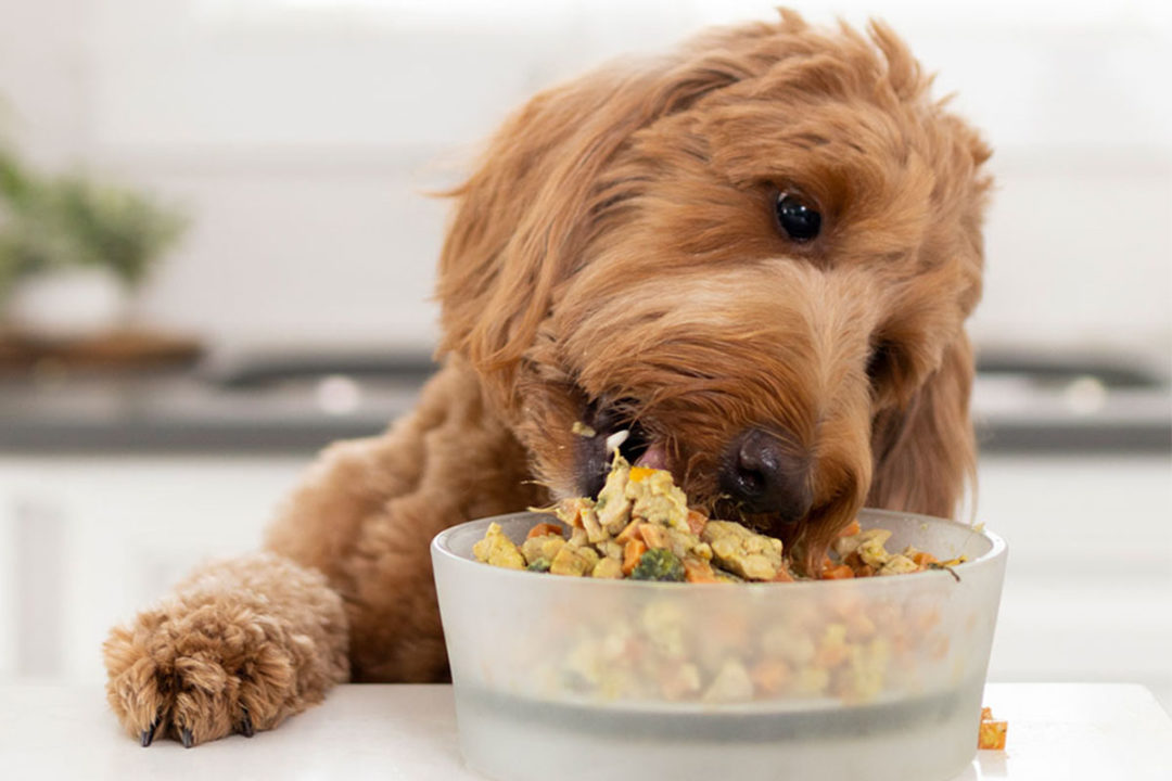 Nom Nom Now and PetSmart form exclusive partnership to offer human-grade pet food in-store