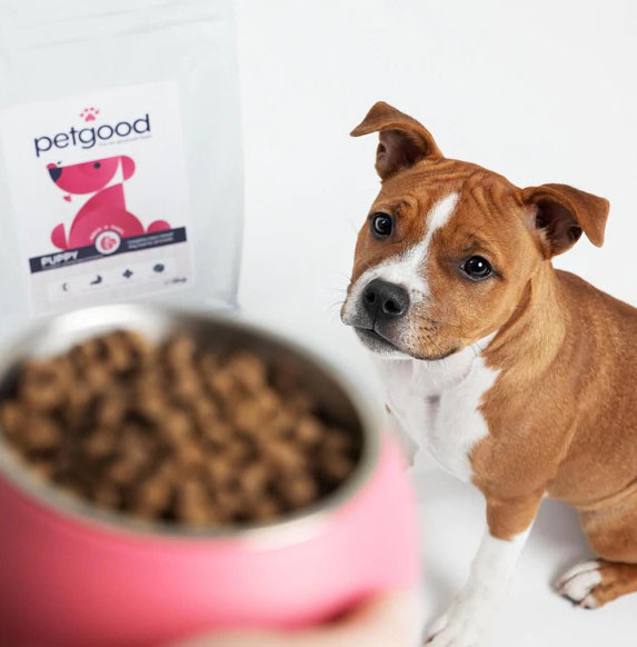 petgood's insect-based puppy kibble