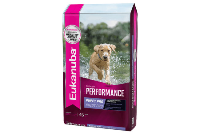 Eukanuba's Premium Performance Puppy Pro formula