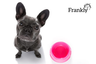 042622 frankly pet personnel lead