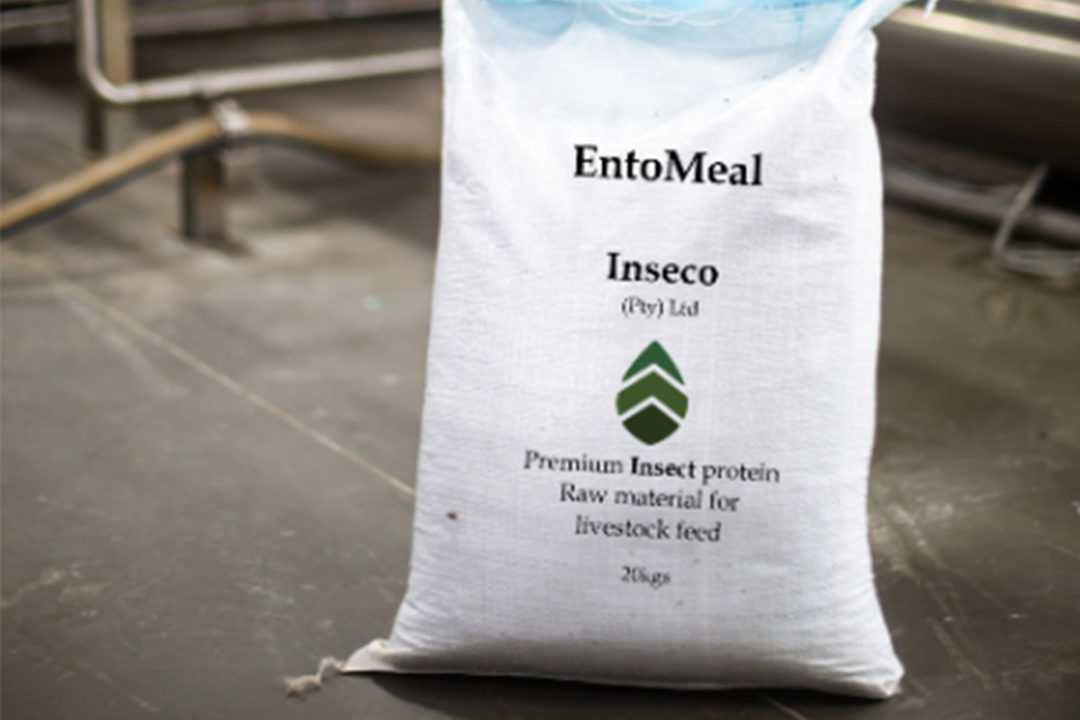 Inseco's insect protein meal EntoMeal