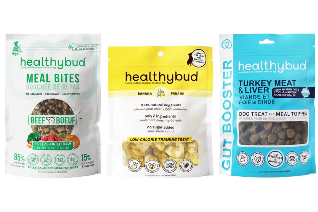 Healthybud's Beef Meal Bites, human-grade banana chips treats and Turkey Gut Booster meal topper