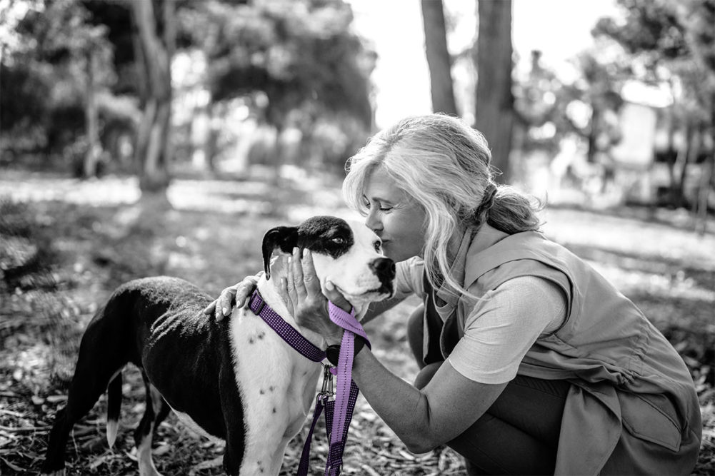 Purina updates product packaging for May in support of Purple Leash Project, National Pet Month