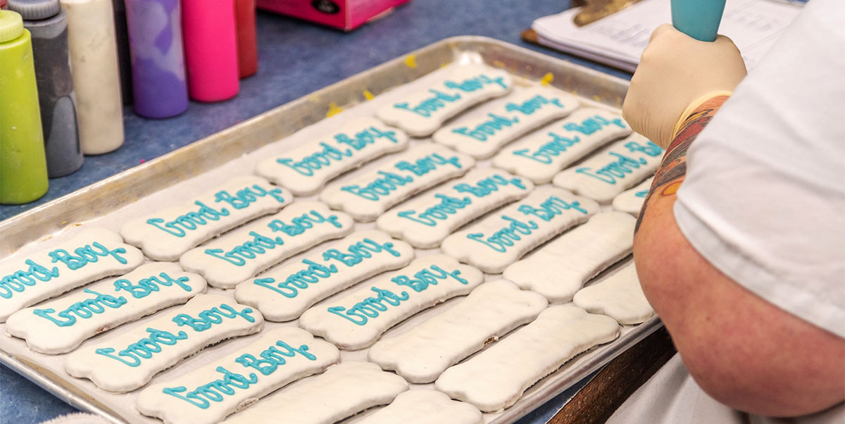 Hand-decorated dog treats by Tail Bangers