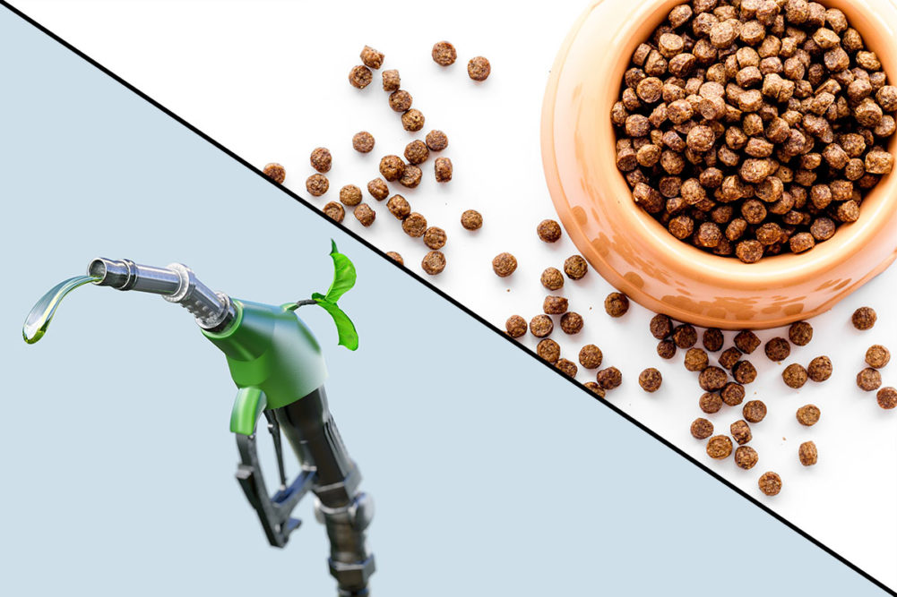 Pet Food Institute details the importance of equity in fats and oils for renewable diesel and the pet food industry