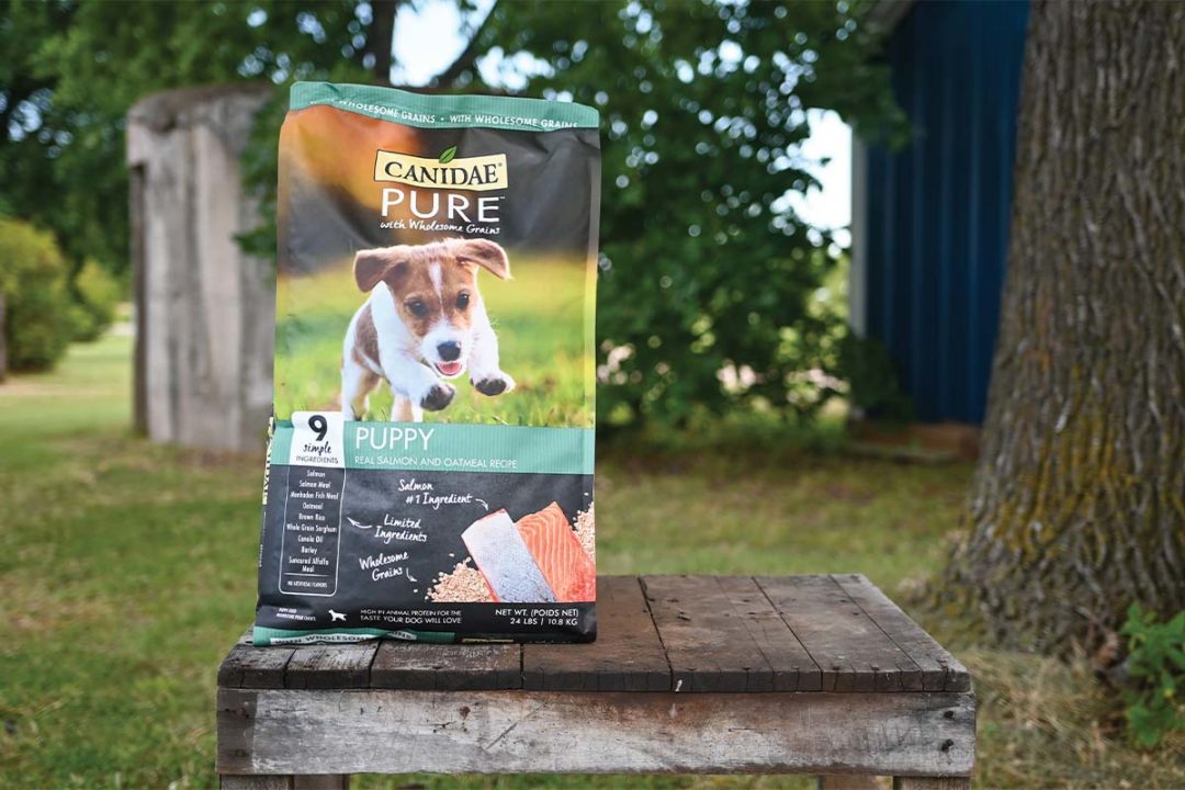 Canidae Pure puppy food with limited ingredients