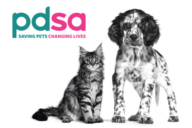 Royal Canin partners with PDSA on pet obesity in the United Kingdom