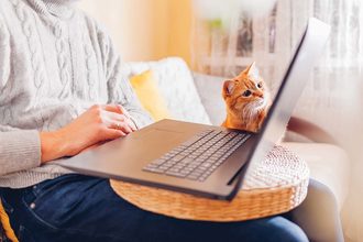 How pet food companies can gain an edge in e-commerce