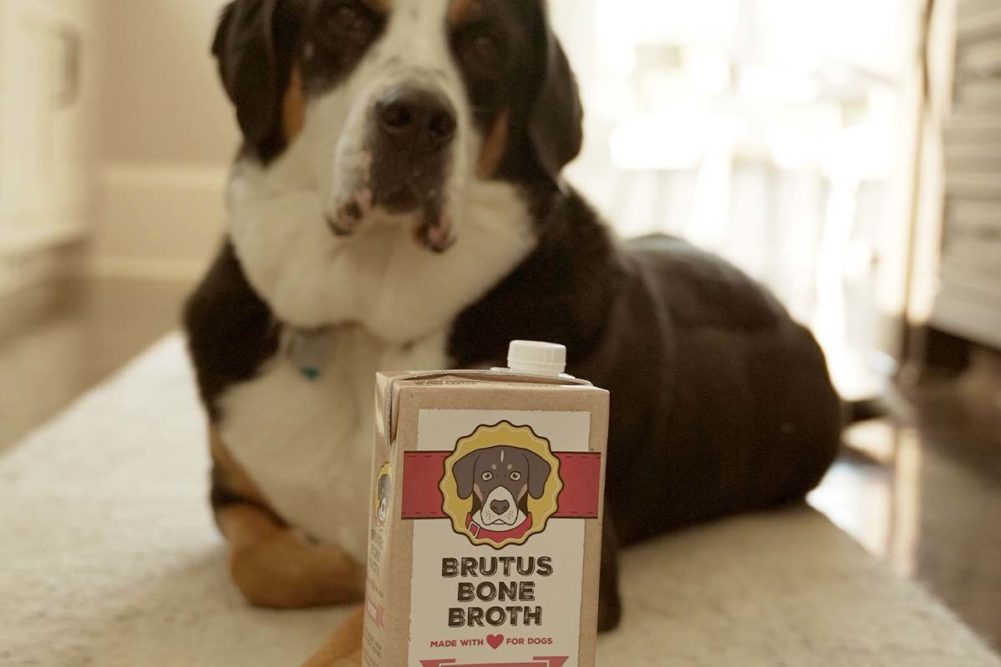 Brutus Broth launches new dog food bone broth toppers