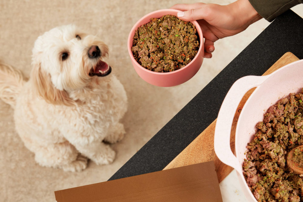 Dog Child launches home-cooked meal mixes for dogs in Canada