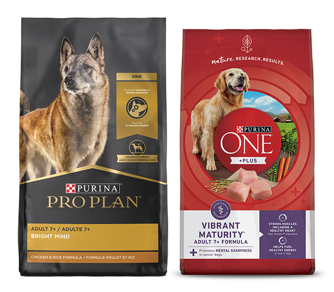 More than half of dog-owning households in the United States have a dog that is 7 years old or older, making age-specific nutritional products a key opportunity for brands to help keep senior pets sharp. 