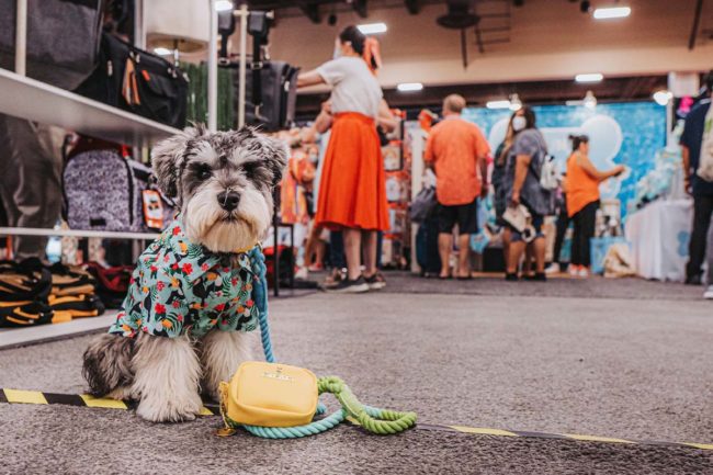 With SuperZoo 2022 just around the corner, here's what to expect at this year's pet industry tradeshow
