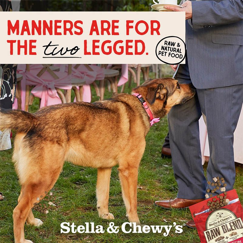Stella & Chewy's "All You Need Is Raw" campaign